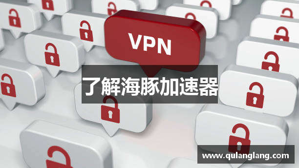 了解海豚加速器